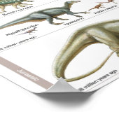 Timeline of the dinosaurs Jurassic Biology Poster (Ecke)