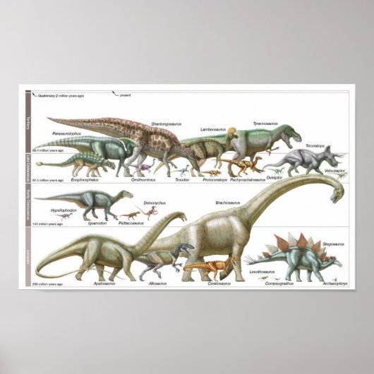 Timeline of the dinosaurs Jurassic Biology Poster (Vorne)