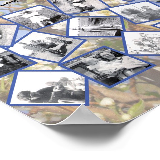 Timeline Photo Collage on White Blossom Tree Poster (Ecke)