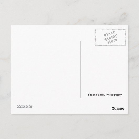 Times Square Postkarte (Rückseite)