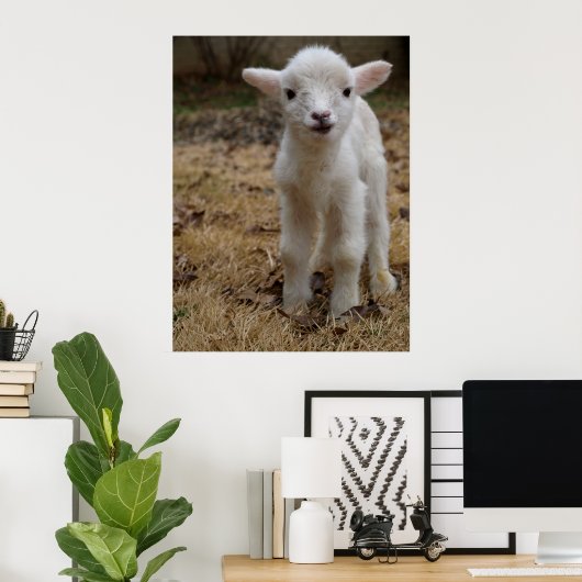 Timmy the Lamb Poster (Heimbüro)