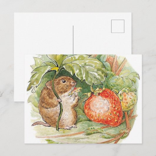 Timmy Willie Mouse - Beatrix Potter Postkarte (Vorne/Hinten)
