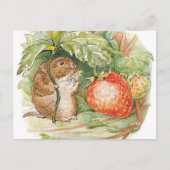 Timmy Willie Mouse - Beatrix Potter Postkarte (Vorderseite)