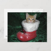 Timon Postcard Postkarte (Vorne/Hinten)