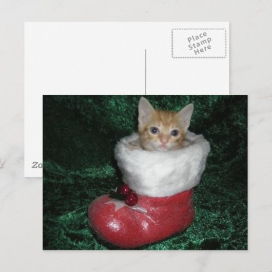 Timon Postcard Postkarte (Vorne/Hinten)