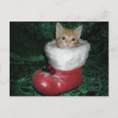 Timon Postcard Postkarte (Vorderseite)