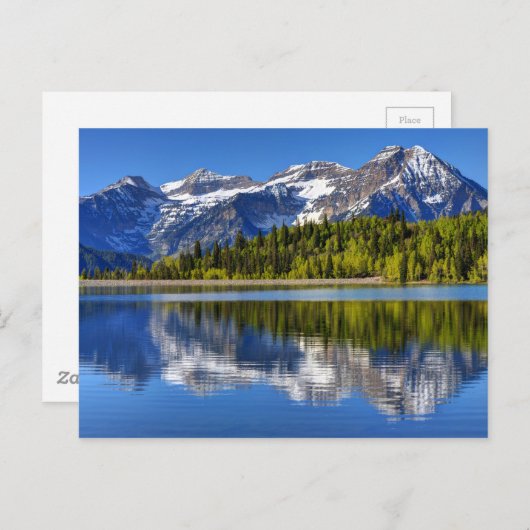 Timpanogos, reflektiert im Silver Lake Flat Postkarte (Vorne/Hinten)