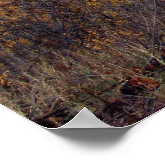 Timpanogos, Utah Poster (Ecke)