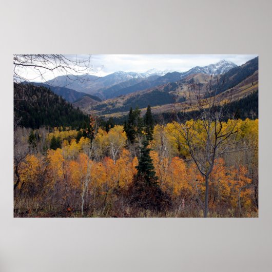 Timpanogos, Utah Poster (Vorne)