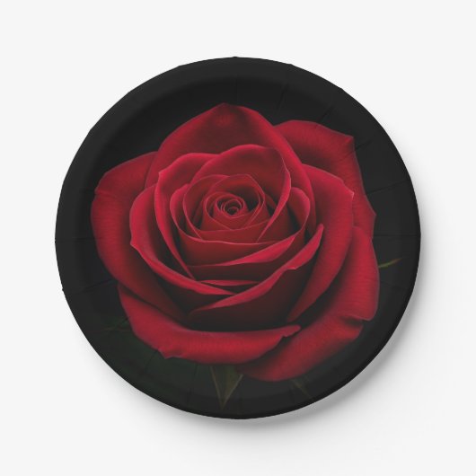 TimPic Black Plate mit Rote Rose DesigPaper Plate Pappteller (Vorderseite)