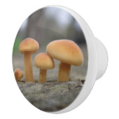 Timy Toadstools Macro Keramik Knob Keramikknauf (Rechts)