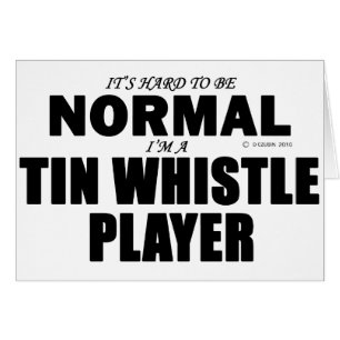 Tin Whistle Player