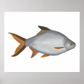 Tinfoil Barb Poster (Vorne)