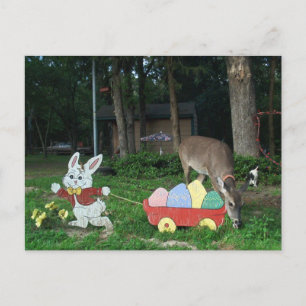 TINKERBELL #6 POSTCARD, DIE DEM OSTERBUNNY HELFEN FEIERTAGSPOSTKARTE