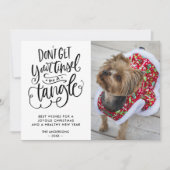 Tinsel in einem zwicken Hund Foto Weihnachten (Vorderseite)