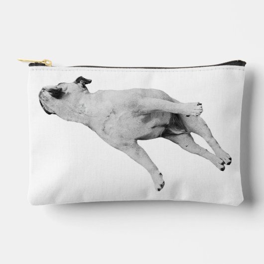 Tinsel-Quiet Organizer Zubehörtasche (Vorderseite)