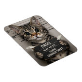 Tinsel the Christmas Kitten Magnet (Rechte Seite)