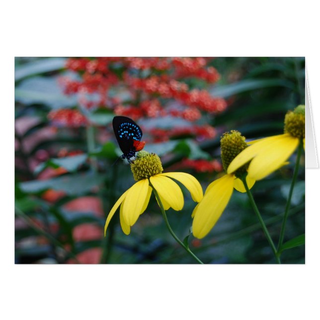 Tinte Farbe (Vorderseite (Horizontal))