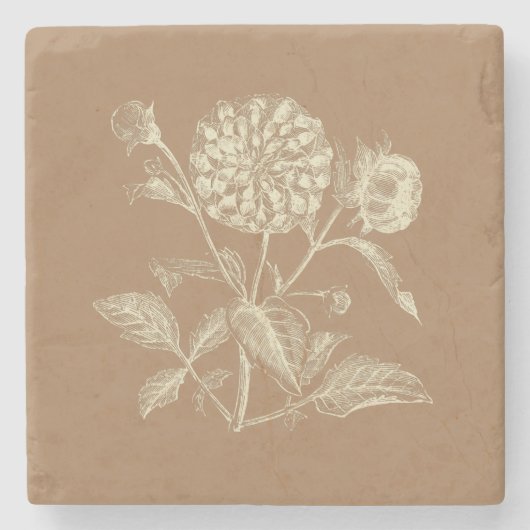 Tinte Vintag Zinnia Illustration Brown Steinuntersetzer (Vorderseite)