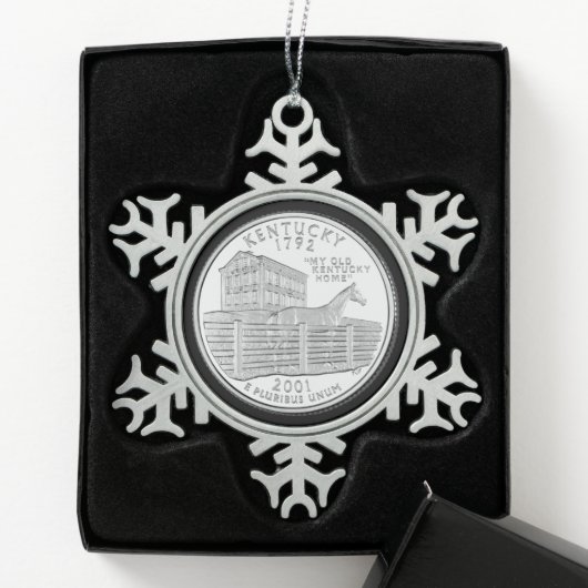 Tinted Kentucky Staat Quarter Schneeflocken Zinn-Ornament (Box)