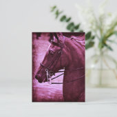Tinted Saddlebred Postkarte (Stehend Vorderseite)