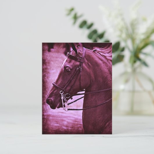 Tinted Saddlebred Postkarte (Stehend Vorderseite)