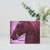 Tinted Saddlebred Postkarte (Stehend Vorderseite)