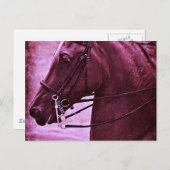 Tinted Saddlebred Postkarte (Vorne/Hinten)