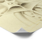 Tintenfisch, Absatz 2 von "Histoire Naturelle Poster (Ecke)