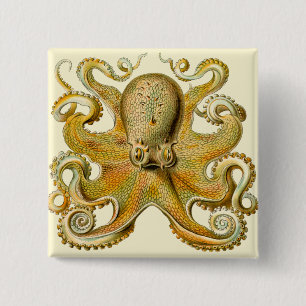 Tintenfisch Antiquität Illustration Meeresschmonst Button