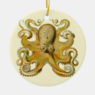 Tintenfisch Antiquität Illustration Meeresschmonst Keramikornament