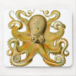 Tintenfisch Antiquität Illustration Meeresschmonst Mousepad