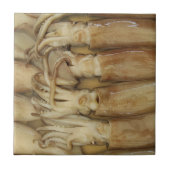 Tintenfisch - Calamari Fliese (Vorderseite)