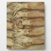 Tintenfisch - Calamari Fotoplatte (Vorderseite)