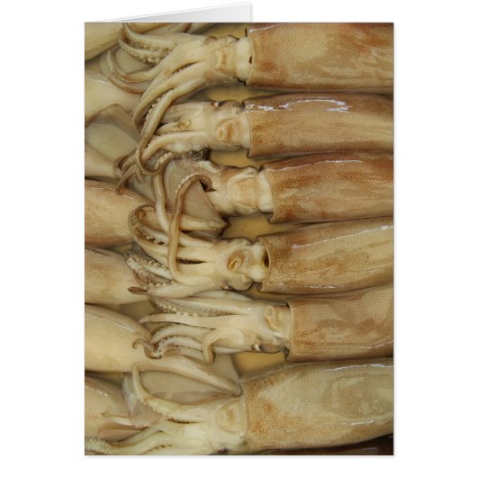 Tintenfisch - Calamari-Karte (Vorne)