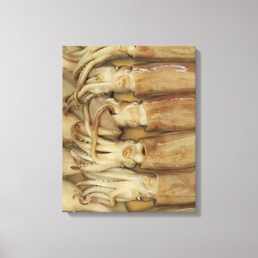 Tintenfisch - Calamari Leinwanddruck (Vorderseite)