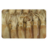 Tintenfisch - Calamari Magnet (Horizontal)