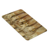 Tintenfisch - Calamari Magnet (Rechte Seite)