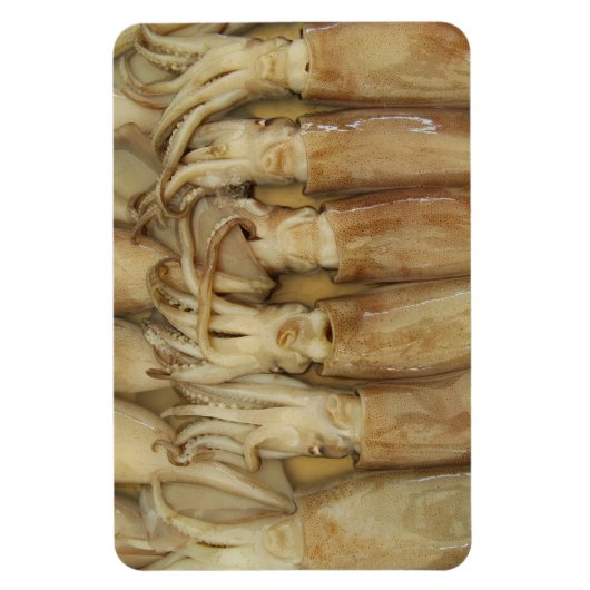 Tintenfisch - Calamari Magnet (Vertikal)