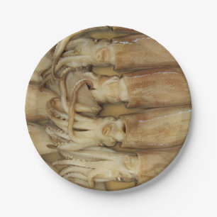 Tintenfisch - Calamari Pappteller