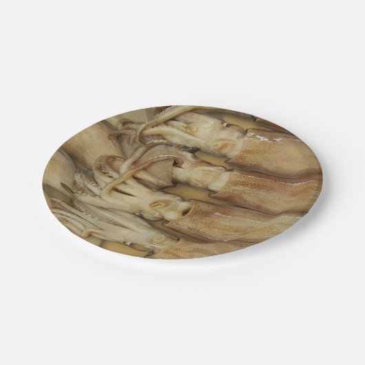 Tintenfisch - Calamari Pappteller (Schrägansicht)