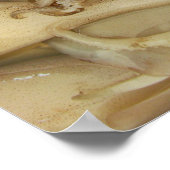 Tintenfisch - Calamari Poster (Ecke)