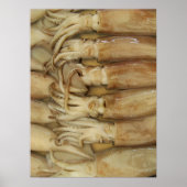 Tintenfisch - Calamari Poster (Vorne)