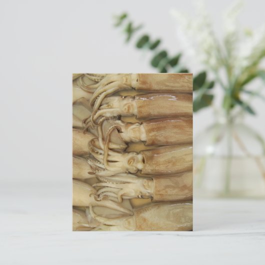 Tintenfisch - Calamari Postkarte (Stehend Vorderseite)