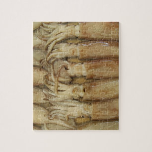 Tintenfisch - Calamari Puzzle