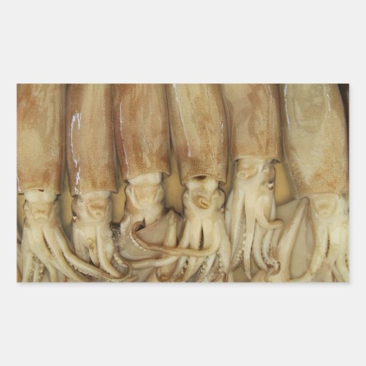 Tintenfisch - Calamari Rechteckiger Aufkleber (Vorderseite)