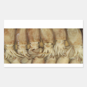 Tintenfisch - Calamari Rechteckiger Aufkleber