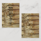 Tintenfisch - Calamari Visitenkarte (Vorne/Hinten)