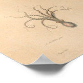 Tintenfisch Gelbes blaues Vintages Meer Kreaturen  Poster (Ecke)