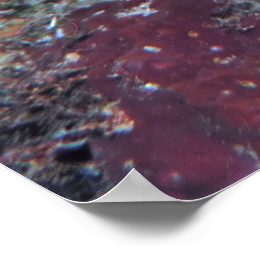 Tintenfisch im Rückstand Poster (Ecke)